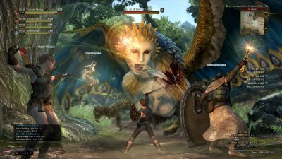 Dragon�s Dogma Online