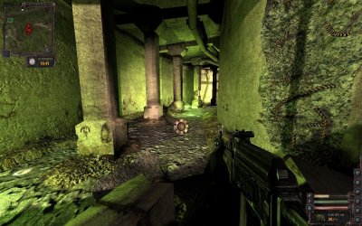 ������� ���� �����