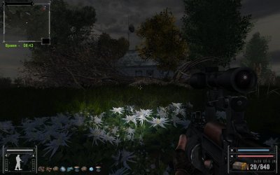 ������� ������� ������ ����� ��������