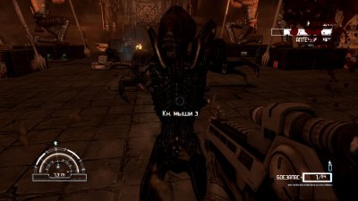 ����� ������ �������