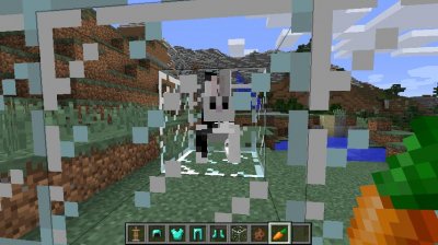 ��������� 1.8.9