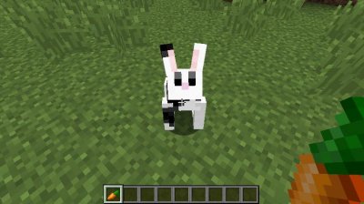 ��������� 1.8.9