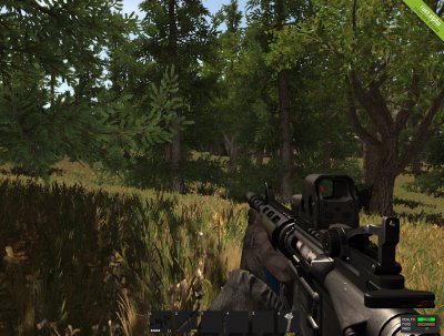 ���� ������