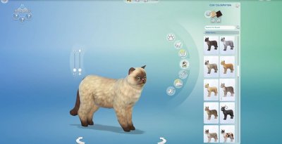 ���� 4 �������