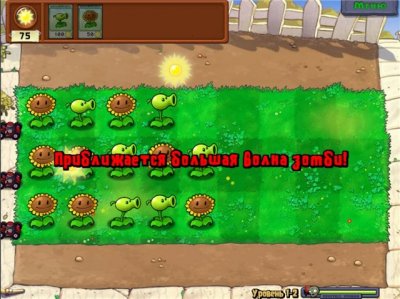 ����� ������ ��������