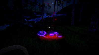 Mushrooms Forest Walker