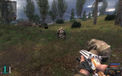 ������� ���� ��������� 1.0004