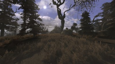 ������� �������� ������� 2016 OGSR Engine