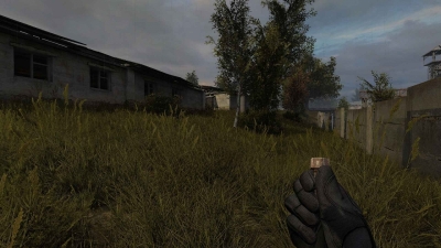 ������� �������� ������� 2023